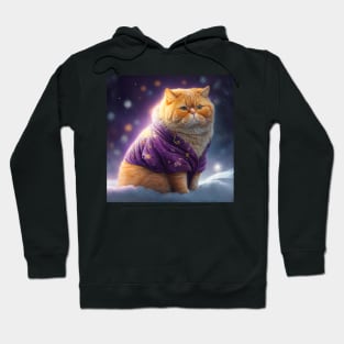 Golden British Shorthair Hoodie